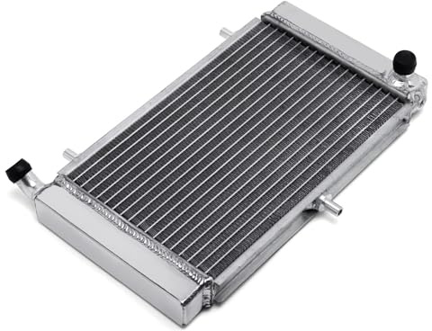 Compatible Con RS 125 2T 1995-2011 Enfriador Radiador Motor Depósitos Desbordamiento Expansión Refrigerante Tanques Desbordamiento Refrigerante Agua Radiador Radiador Moto Enfriamiento
