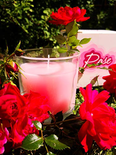 HGD Votiv-Glas ''Rose'' groß, Wachs, Rötlich