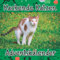 Kackende Katzen: Lustiger Adventskalender