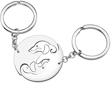 RAIDIN Valentinstag Geschenke für ihn ihr süße Dackel Hund 2pcs Paar Schlüsselanhänger Welpe Schlüsselring für Freund Freundin (Silber-146 Dackel)
