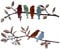 BGJJGT Metal Garden Decor, 2 Pcs Bird Wall Art Ornaments Metal Garden Wall Decor for Outdoor and Indoor Garden Home Decoration