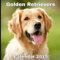 Golden Retrievers Calendar 2025