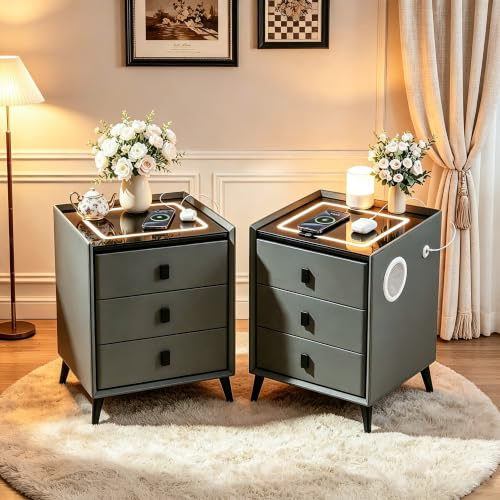 GXSDYYDS Nachttisch 2er Set, Nachttisch LED mit Ladefunktion und Bluetooth-Lautsprecher, Nachtschrank mit 3 Schubladen, 3-Farbiges Licht Dimmbar, 2 USB,Type-C, Beistelltisch Sofatisch (2, Grau)
