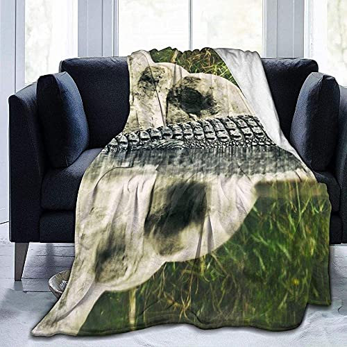 YuLiZP Decke Wohn Kuscheldecken Krokodil Monster Reptile Werfen Sie Wohnzimmer/Schlafzimmer/Sofa Couch Warm Travel Super Fluffy Massivbettdecke Für Kinder Erwachsene Die Ganze Saison 80X60 Inches