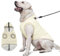 Vecomfy Hunde-Kapuzenpullover mit integriertem Geschirr, extra warm, für große Hunde im Winter, Hundemantel mit Kapuze, Hellgelb, Größe XXXL