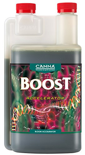 CANNA Boost Beschleuniger, 250 ml