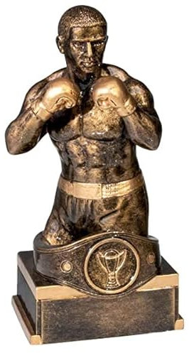 eberin · Boxen-Pokal, Resinfigur Box-Champion, Bronze, mit Wunschtext und auswählbarem Motiv-Emblem 2,5 cm, Größe 18 cm