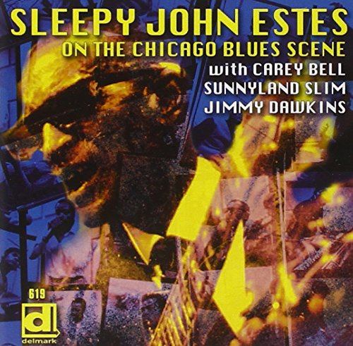 On the Chicago Blues Scene (Electric Sleep)