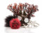 biOrb 48442 Decor Set 15L Red Forest - Aquariendekoration aus künstlichen Wasserpflanzen, Wurzeln und Steinen, für Süßwasser und Meerwasser
