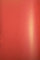Netuno 20x Bastelkarton Perlmutt Rot DIN A4 21 x 29,7 cm 280g Aster Metallic Ruby Gold Effekt Karton Rot mit Goldpartikeln Pearlkarton Schimmer Perlglanz Bastel Karton zum Basteln Dekorieren
