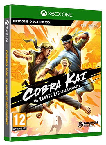 Cobra Kai The Karate Kid Saga