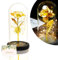TINYOUTH 24K Golden Rose in Glas Schwarze Basis, Schöne und das Biest Rose Beleuchtung Batterien Inklusive für Hochzeit Jubiläum Mama Valentinstag Weihnachten Geburtstag