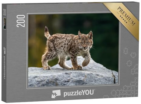puzzleYOU: Puzzle 200 Teile „Aufmerksamer junger Luchs“ – aus der Puzzle-Kollektion Luchse, Tiere in Wald & Gebirge