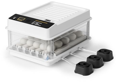 Fudajo Vollautomatischer Flächenbrüter für 24 Eier, Inkubator 80 W mit Wendesystem, Brutautomat mit Temperatursteuerung und Feuchtigskeitsregulierung, Brutkasten zum Eier ausbrüten
