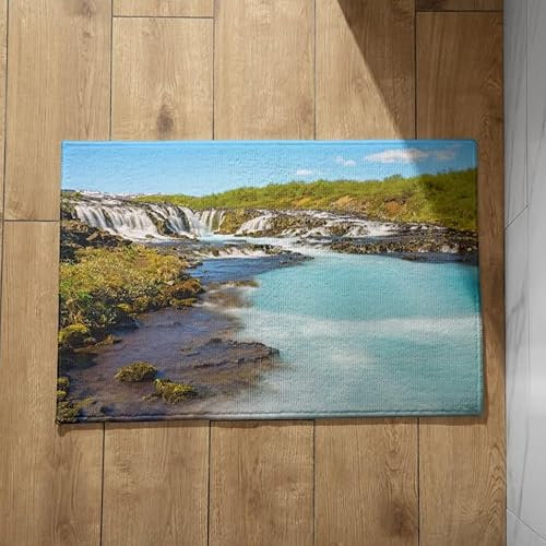 EHOMERY Schmutzfangmatte Innen Bunt Sauberlaufmatte Einbau Fallen Home Protect Schmutzfangmatte Fussmatte Innen Personalisiert 40x60cm,