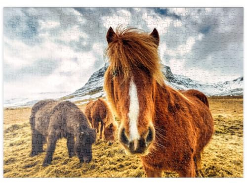 MyPuzzle Pferde in den Bergen von Island - Premium 500 Teile Puzzle - MyPuzzle Sonderkollektion von Puzzle Galaxy