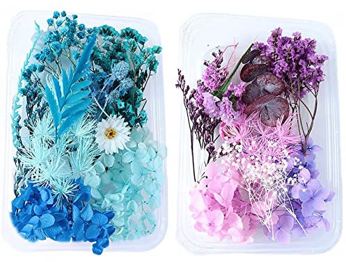 Getrocknete Blumen Echt,2 Kisten Trockenblumen Set Natur,Trockenblumen für die Heimdekoration Und Handwerkliche Deko, Trockenblumen Klein für Epoxidharz Deko, Getrocknete Blumen für Handgemachte Waren