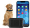 Winnes 4G GPS Tracker Halsband Für Hund 3000 mAh GPS Tracker für Hunde Echtzeit-Tracking Kostenlose APP/Plattform Ohne ABO IP67 Wasserdichter Tracker Hund mit Datenstatistik Ton-Lichtalarm