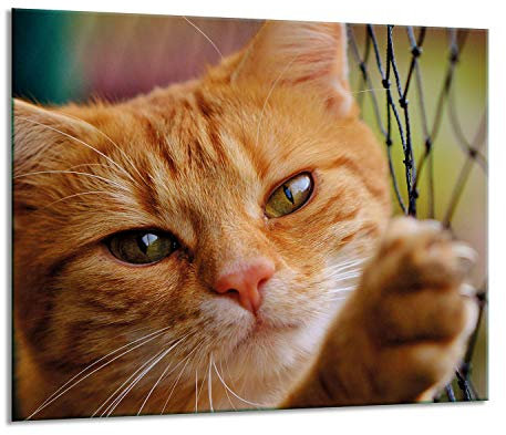 Herdabdeckplatten Ceranfeldabdeckung Spritzschutz Glas 60x52 Katze