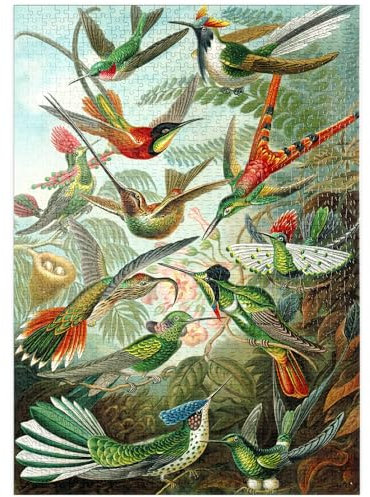 MyPuzzle Hummingbirds and Trochilidae (Kolibris), Vintage Art Poster, Ernst Haeckel - Premium 1000 Teile Puzzle - MyPuzzle Sonderkollektion von Havana Puzzle Company