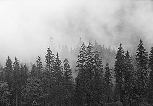 Fototapete Schwarz Weiß Wald Nebel Landschaft Grau Bäume Wohnzimmer Schlafzimmer Wandtapete Vlies Tapete UV-Beständig Montagefertig (13909, VEXXXXL (416x290 cm) 4 Bahnen)