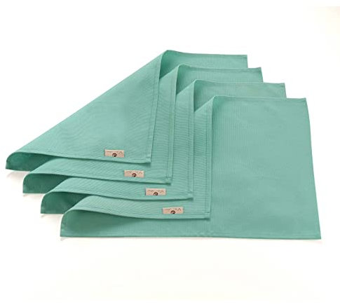 Vivi Idee® 4er Tischsets Platzset 100% Baumwolle Platzdeckchen Stoff abwaschbar Handgenäht 52x33cm (Mint Blau)