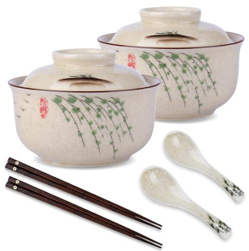 DEARBAG 2 x Ramen Schüssel Set 800ml Keramik Ramen Bowl mit Deckel Löffel und Essstäbchen, Japanische Suppenschüssel Asiatisch Geschirr Ø 16cm Ramen Schale für Ramen, Salat, Müsli (B)