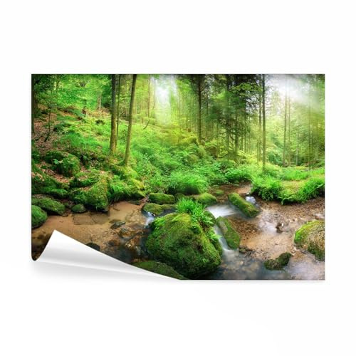 decomonkey Papier Peint Panoramique Foret 400x280 cm Décoration murale | Tapisserie décorative pour chambre salon, Lueur des arbres pierre forêt l'eau vert, moderne