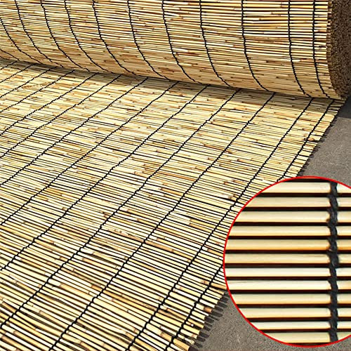 Brise vue en Roseau pour Jardin,Canisse Bambou Roseau,Rouleaux Clôture en Roseau, clôture en Bambou,clôtures décoratives Écrans de confidentialité pour Patio,Protection De La Vie Privée ( Size : H0.61