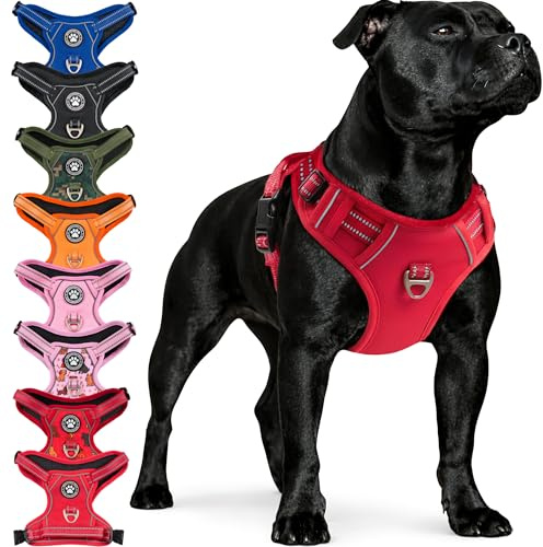 Reichstadt Pets Hundegeschirr Mittlere Hunde 25RSP083 Red M | Verstellbares No-Pull Geschirr mit Griff & Reflektoren | Atmungsaktiv, Gepolstert & Strapazierfähig | Sicherheitsgeschirr
