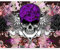 murando - Vlies Fototapete Schädel 350x256 cm - Foto Tapete Schlafzimmer Wohnzimmer Moderne Vliestapete XXL Wandtapete Motivtapeten Bildtapete 3d Effekt Wand Dekoration - Totenkopf a-C-0111-a-a