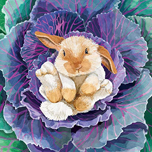 Servietten (2er Set / 40Stück) 3-lagig 33x33cm Ostern Hase Kaninchen in Kohlkopf