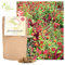 20gr Bienenfreundliche Blumen für den Balkon - Samen für Balkonpflanzen im Blumenkübel oder Balkonkasten Balkonblumen für Bienen Hummeln und Insekten