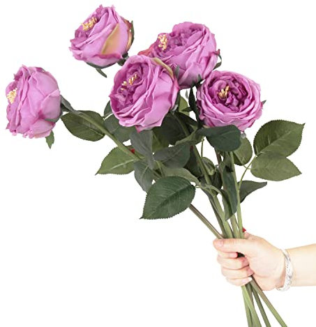 cn-Knight 6 x Eden Rose künstliche Blumen, 61 cm, super langer Stiel, David Austin Rose, fühlt sich echt an, Seidenkohlrose für Heimdekoration, Tafelaufsatz, Hochzeitsstrauß, Violett