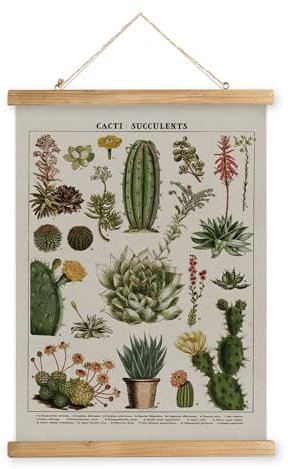 XIAOAIKA Poster Vintage Cacti et Succulents - Affiche Décorative de Cactus avec Cadre en Bois, Parfait pour Décoration d'Intérieur et Amoureux des Plantes, 40 x 58 cm