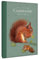 Robert Frederick Terminkalender 2024 Landschaft Patricia MacCarthy Design A5