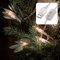 hellum Lichterkette innen, 35er LED Lichterkette mit Schalter, mit Schalter und USB-Anschluss, beleuchtete Länge 4,08m, Kabel transparent, Lichtfarbe warmweiß < 59 Lumen 525144
