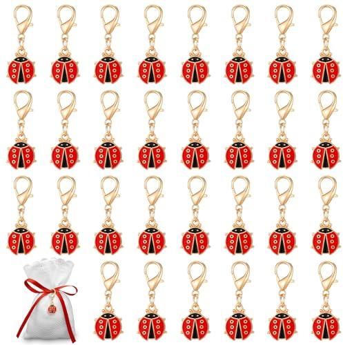 DOPENSPI 30 Stück Marienkäfer Schlüsselanhänger Glückbringer Set,Anhänger Klein Geschenkanhänger Glückskäfer Weihnachten Geschenke Deko für Weihnachten Neujahr Geschenk Adventskalender Füllung