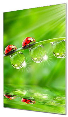 banjado Glas-Pinnwand 60x90 mit Tiermotiv für Notizen, beschreibbar | Dekoratives Magnetboard für Organisation, mit Motiv Für Jeden Einen aus der Tierwelt