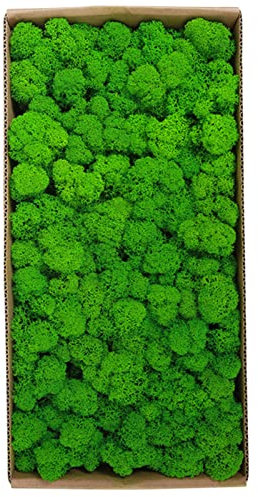 Sunydog Wall Picture with Real Moss,Konserviertes Moos Wanddekoration Echtes konserviertes Moos Keine Wartung erforderlich Natürlich konserviertes Moos für Home Wall Party Festivals Crafts Xmas Indoor