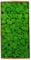 Sunydog Wall Picture with Real Moss,Konserviertes Moos Wanddekoration Echtes konserviertes Moos Keine Wartung erforderlich Natürlich konserviertes Moos für Home Wall Party Festivals Crafts Xmas Indoor