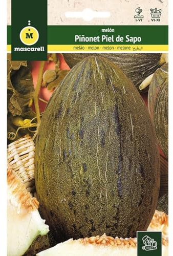 Mascarell Semillas, MELÓN, Semillas Huerto, MELÓN PIÑONET PIEL DE SAPO, Crea tu Propio Huerto Urbano y Cultivo en Casa, Plantas Hortícolas, 6 Gramos