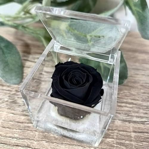Sindy Bomboniere Rose stabilizzate in Scatola cubo Vari Colori con Gel e Sabbia (Nera)