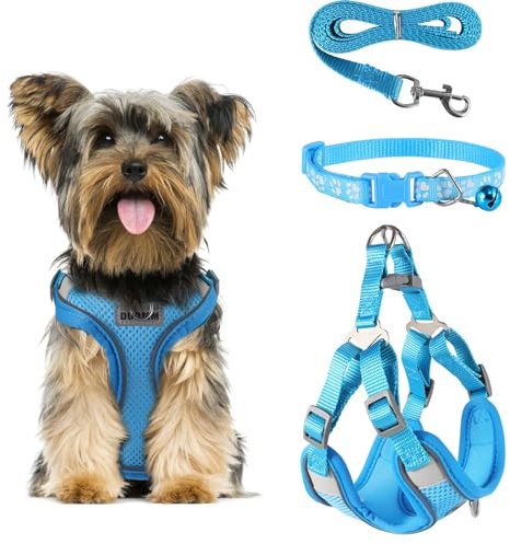 FINEASY Hundegeschirr mit Leine, Reflektierend, Hundegeschirr Kleine Hunde, Sicherheitsgeschirr Hund Ausbruchsicher, Brustgeschirr Hund, Geschirr für Haustiere, Katzen, Klein, Welpen (Blau, S)