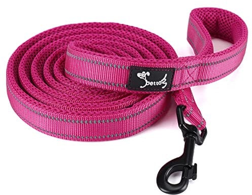 PETTOM Hundeleine Reflektierend Leine aus Nylon mit Weich Gepolsterter Griff und Metallhaken für Training, Robuste Leine Hund für Kleine Mittel Große Hunde (Rose 200 cm)