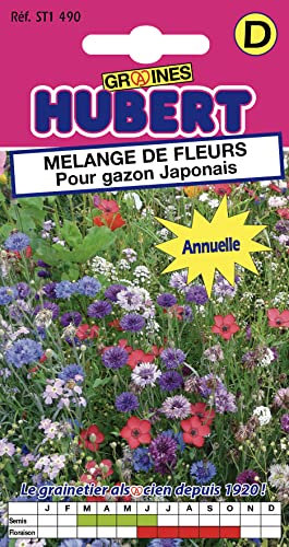 Graines de Fleurs Pour Gazon Japonais Pour 1 m2-2 grammes