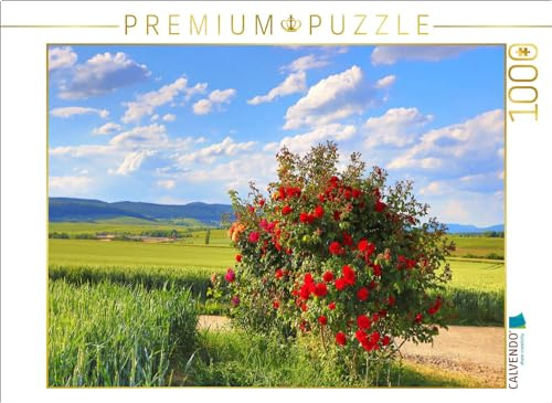CALVENDO Puzzle Fest der Rose an der Südlichen Weinstrasse. EIN Motiv aus dem Kalender Wanderparadies Südliche Weinstrasse | 1000 Teile Lege-Größe 64 x 48 cm Foto-Puzzle für glückliche Stunden