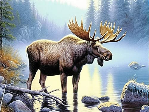 Bimkole DIY 5D Diamond Painting Zubehör Elch, Seetang toter Baum Diamant Malerei Kit Voll Runde Bohrer Malen nach Zahlen Malerei Stickerei Kreuzstich Diamond Dekoration, (40x50 cm)