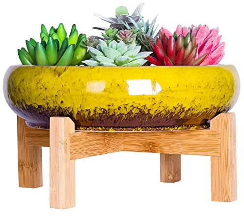 ARTKETTY Succulent Plant Pot - Large Bonsai Pot with Stand Shallow Cactus Plant Pot with Mess Drainage Screen, 25.4 CM Ceramic Flower Plant Container Bowl for Indoor/Outdoor (Yellow)