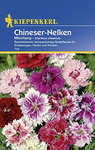 Kiepenkerl 716 Chineser-Nelken Mischung (Chineser-Nelkensamen)